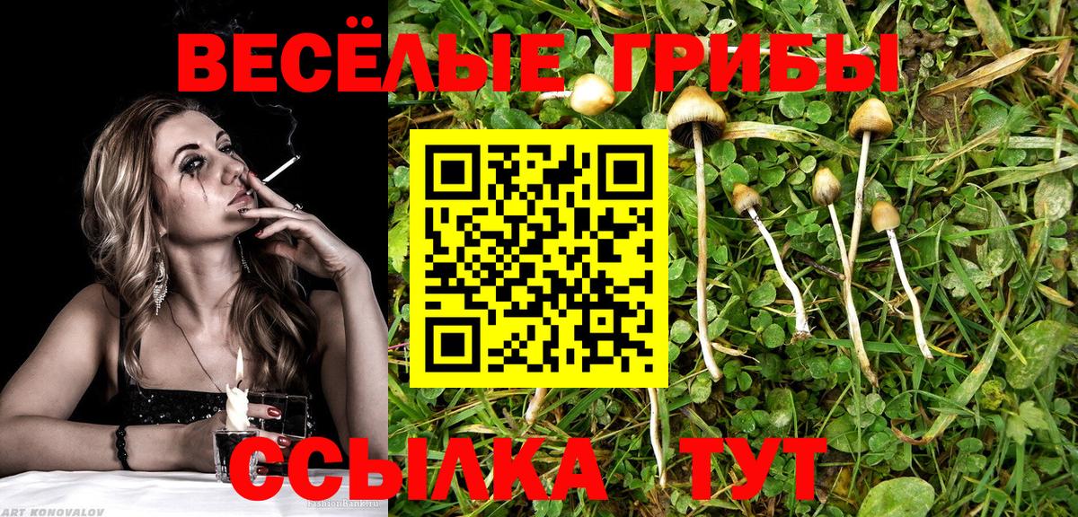 Псилоцибиновые грибы мицелий Екатеринбург
