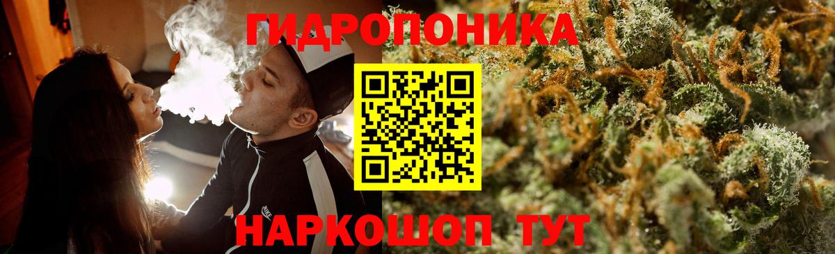 Бошки марихуана ГИДРОПОН  МАРИХУАНА планчик  Бошки Шишки гибрид  Вход с VPN  Екатеринбург 
