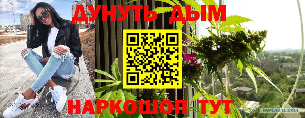 Шишки марихуана ГИДРОПОН Екатеринбург